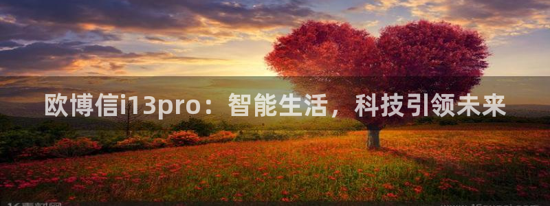 多多28g体育代理：欧博信i13pro：智能生活，科技引领未来