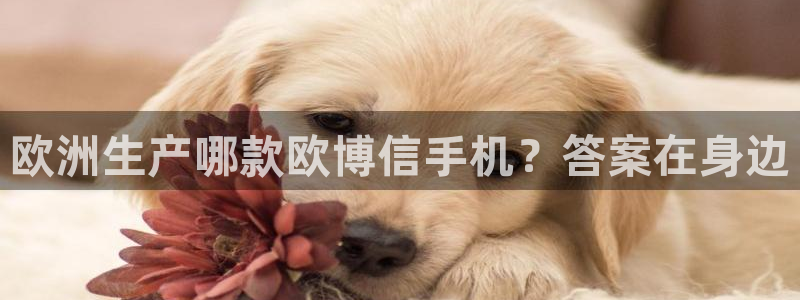 多多28g体育用品：欧洲生产哪款欧博信手机？答案在身边