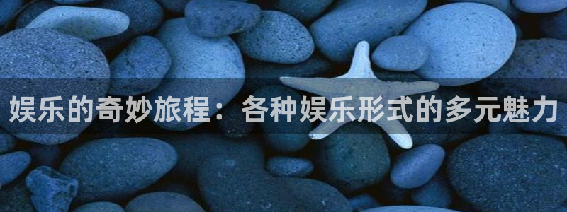 多多28g体育f开号：娱乐的奇妙旅程：各种娱乐形式的多元魅力