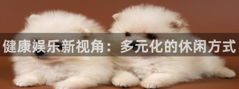 多多28g4登录：健康娱乐新视角：多元化的休闲方式