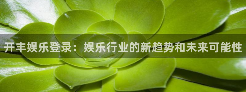 多多28gf凯捷注册：开丰娱乐登录：娱乐行业的新趋势和未来可能性