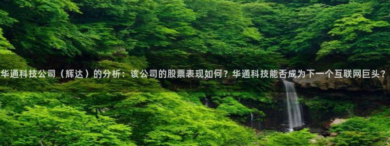 多多28g2登录入口：华通科技公司（辉达）的分析：该公司的股票表现如何？华通科技