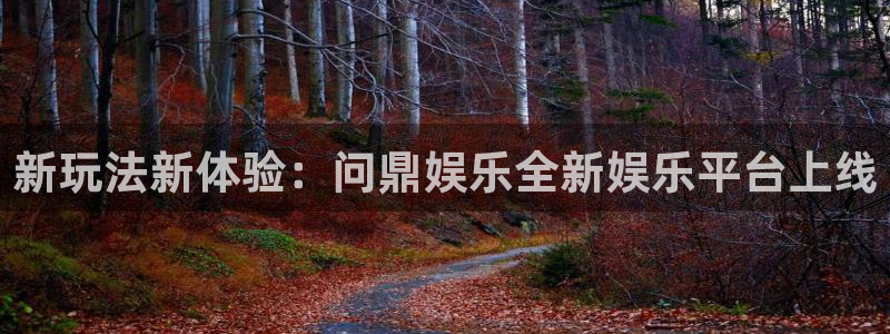 多多28g体育和杏耀是哪个公司的：新玩法新体验：问鼎娱乐全新娱乐平台上线