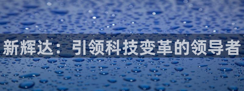 多多28g凯捷开号链接：新辉达：引领科技变革的领导者