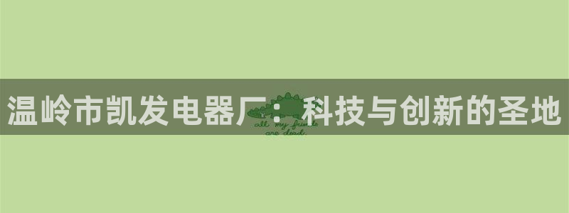 多多28g平台：温岭市凯发电器厂：科技与创新的圣地