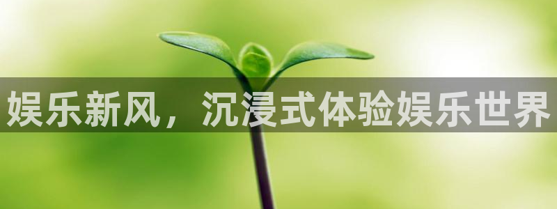 多多28g2登录地址：娱乐新风，沉浸式体验娱乐世界