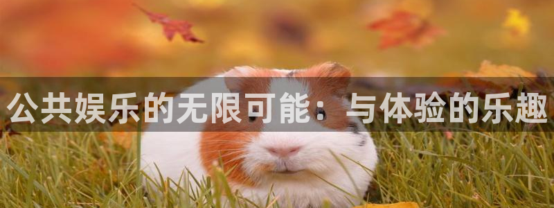 多多28g2平台注册：公共娱乐的无限可能：与体验的乐趣