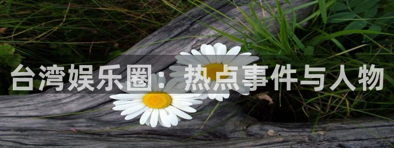 多多28g4注册：台湾娱乐圈：热点事件与人物