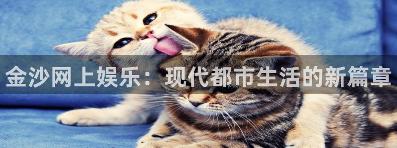 多多28g5招商：金沙网上娱乐：现代都市生活的新篇章