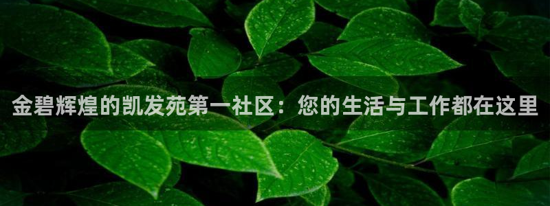 多多28g体育娱乐注册链接：金碧辉煌的凯发苑第一社区：您的生活与工作都在这里