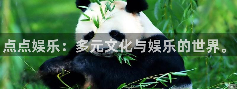 多多28g体育f开号：点点娱乐：多元文化与娱乐的世界。