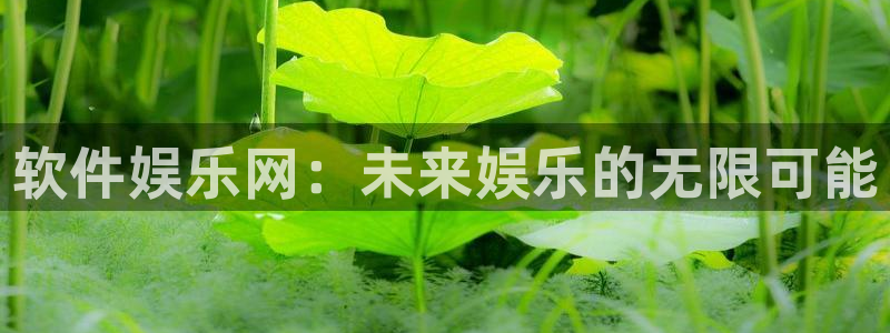 多多28g4官网：软件娱乐网：未来娱乐的无限可能