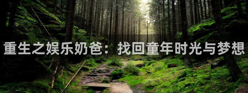 多多28g3官网：重生之娱乐奶爸：找回童年时光与梦想