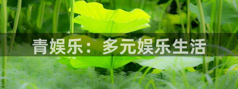 多多28g体育凯捷平台主管：青娱乐：多元娱乐生活