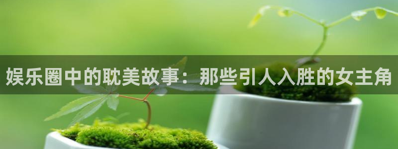 多多28g4注册：娱乐圈中的耽美故事：那些引人入胜的女主角