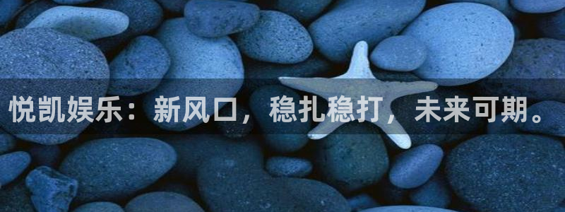 多多28g体育2官网入口：悦凯娱乐：新风口，稳扎稳打，未来可期。