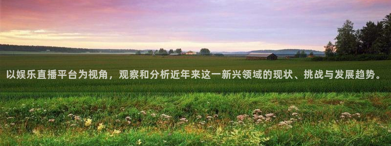 多多28g登陆：以娱乐直播平台为视角，观察和分析近年来这一新兴领域的现状、挑战与