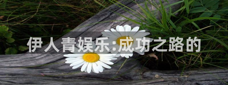 多多28g体育论坛：伊人青娱乐:成功之路的