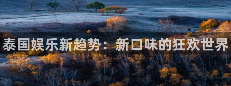 多多28g体育平台开号链接：泰国娱乐新趋势：新口味的狂欢世界