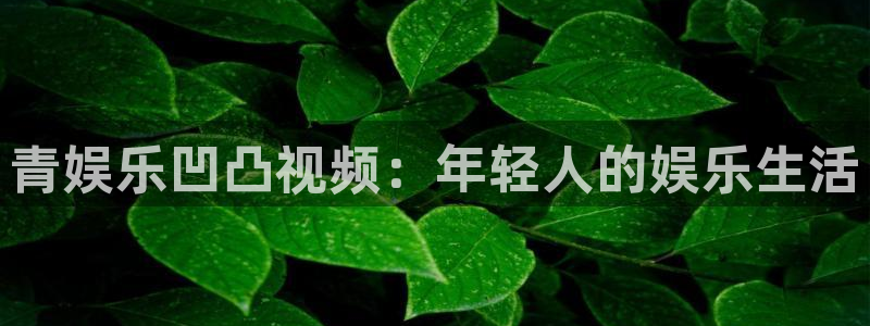 多多28g平台主管：青娱乐凹凸视频：年轻人的娱乐生活