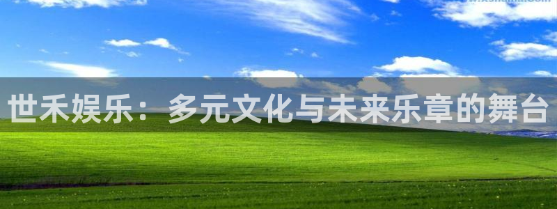 佛山市南海多多28g机电仪器有限公司：世禾娱乐：多元文化与未来乐章的舞台