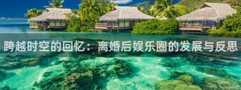 多多28g体育官网入口登录：跨越时空的回忆：离婚后娱乐圈的发展与反思