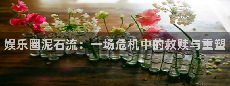 多多28g3注册：娱乐圈泥石流：一场危机中的救赎与重塑
