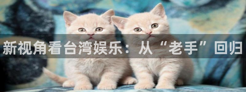 上海多多28g汽车电子有限公司：新视角看台湾娱乐：从“老手”回归