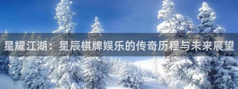 多多28g4代理